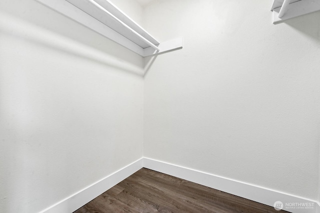 1105 Spring St Unit 407, Seattle, WA 98104 - walk in closet with dark wood finished floors