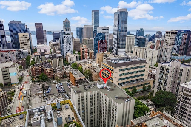 1105 Spring St Unit 407, Seattle, WA 98104 - view of city skyline