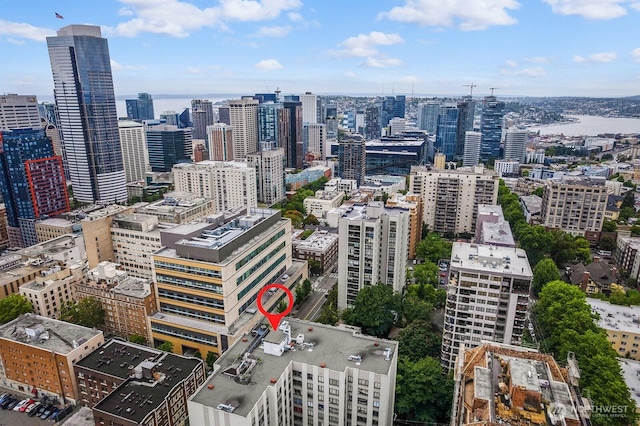 1105 Spring St Unit 407, Seattle, WA 98104 - city view