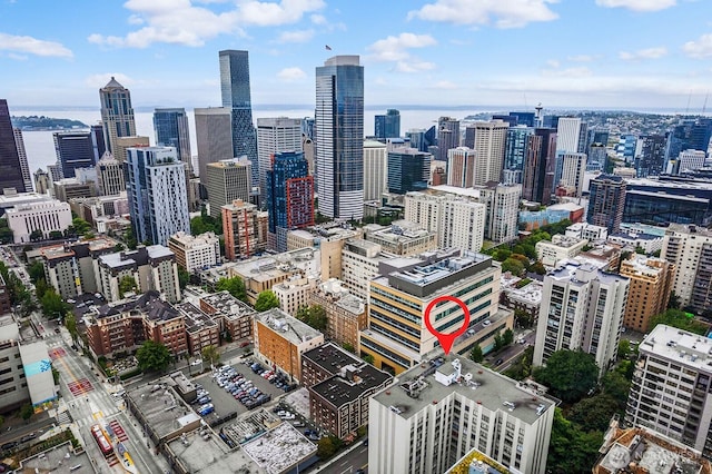 1105 Spring St Unit 407, Seattle, WA 98104 - view of city