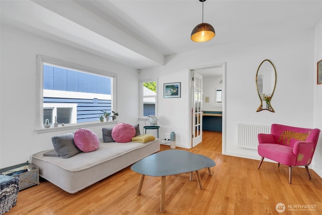 8554 16th Ave NW, Seattle, WA 98117 - living room with wood finished floors and radiator heating unit