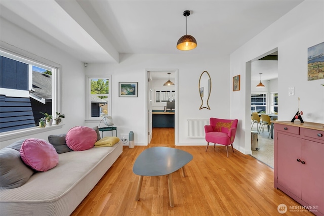 8554 16th Ave NW, Seattle, WA 98117 - living area with light wood finished floors and healthy amount of natural light
