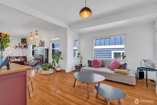 8554 16th Ave NW, Seattle, WA 98117 - living area featuring plenty of natural light, light wood-style floors, and a fireplace