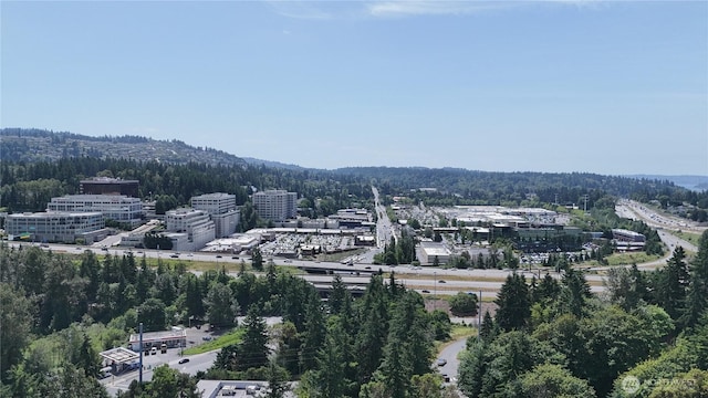 3030 128th Ave SE Unit 6, Bellevue, WA 98005 - view of city featuring a forest