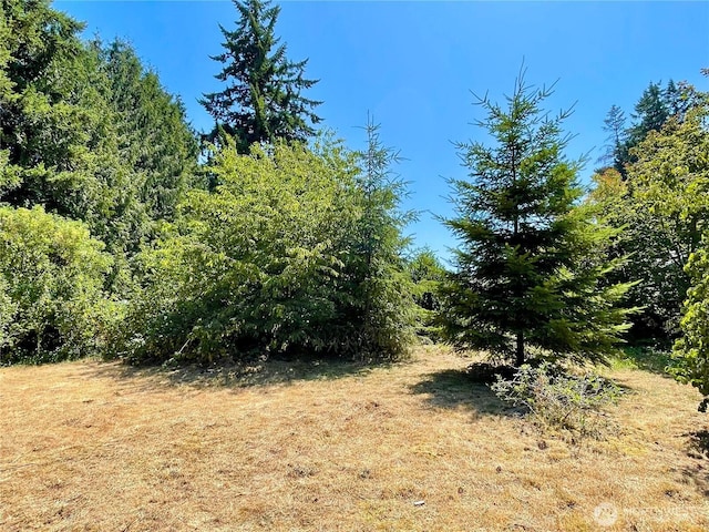14515 25th Avenue Ct E, Tacoma, WA 98445 - photo 28
