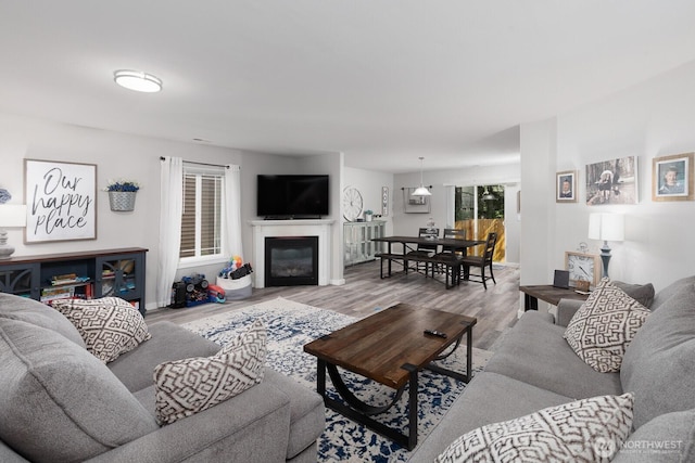 17814 97th Ln E, Puyallup, WA 98375 - living area featuring wood finished floors and a glass covered fireplace