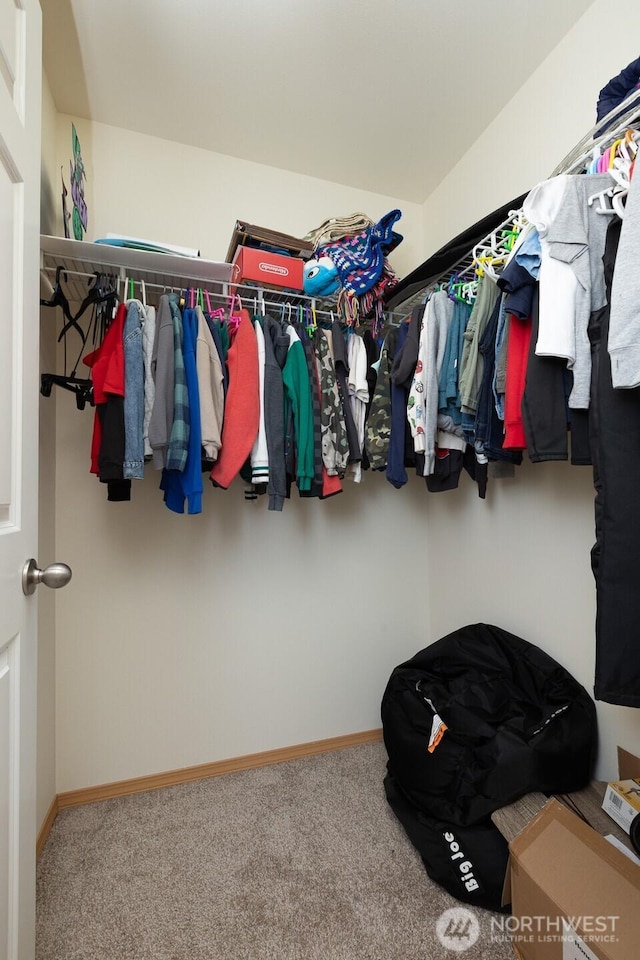 17814 97th Ln E, Puyallup, WA 98375 - walk in closet featuring carpet flooring
