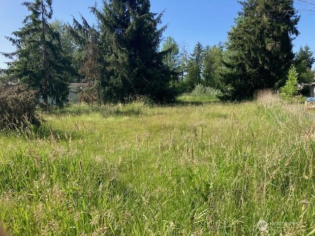 2912 Scotlac Dr SW, Olympia, WA 98512 - photo 3