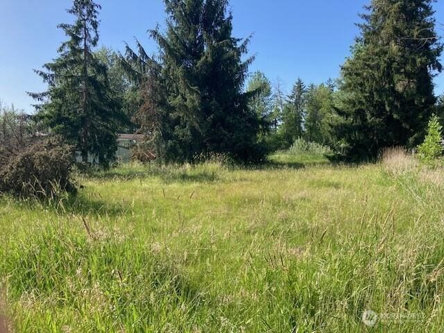 2912 Scotlac Dr SW, Olympia, WA 98512 - photo 4