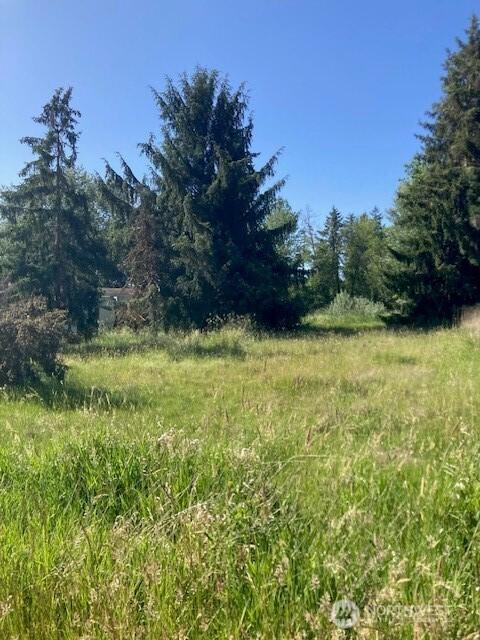 2912 Scotlac Dr SW, Olympia, WA 98512 - photo 6