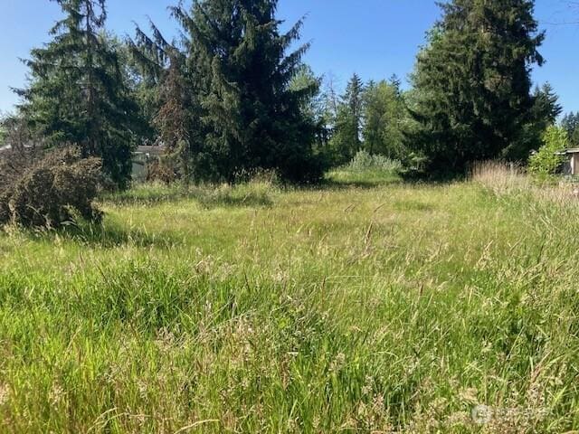 2912 Scotlac Dr SW, Olympia, WA 98512 - photo 7