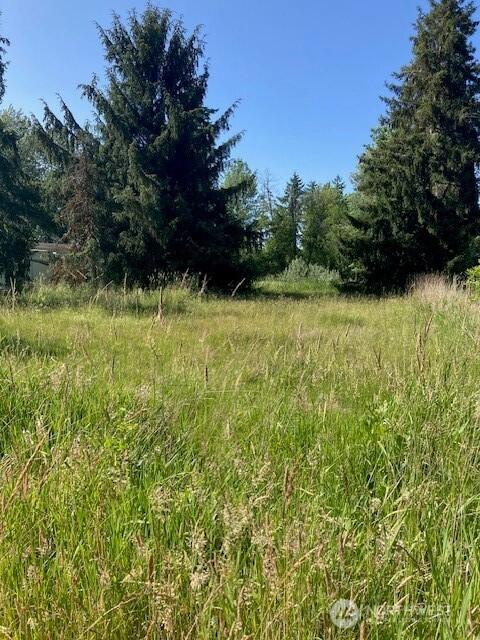 2912 Scotlac Dr SW, Olympia, WA 98512 - photo 8