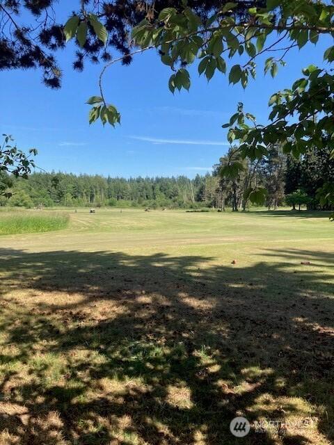 2912 Scotlac Dr SW, Olympia, WA 98512 - photo 9