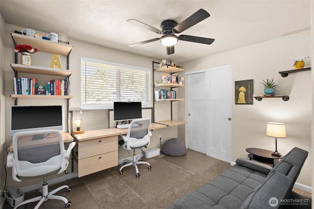 7514 Greenridge St SW, Olympia, WA 98512 - office space with ceiling fan and baseboards
