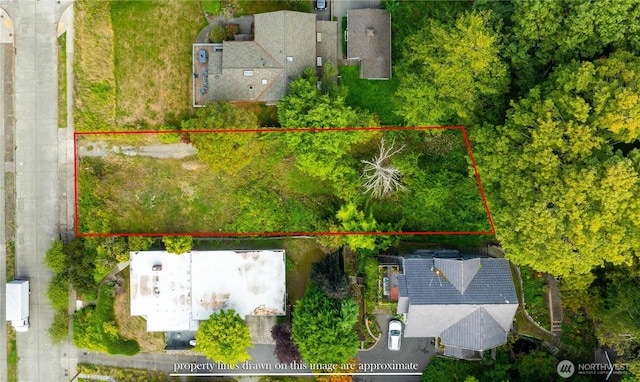7558 45th Ave SW, Seattle, WA 98136