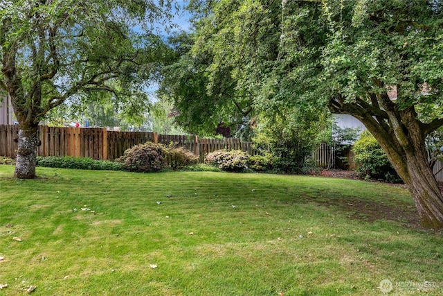 13743 36th Ave NE, Seattle, WA 98125 - view of yard