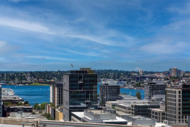 820 Blanchard St Unit 1710, Seattle, WA 98121 - photo 15