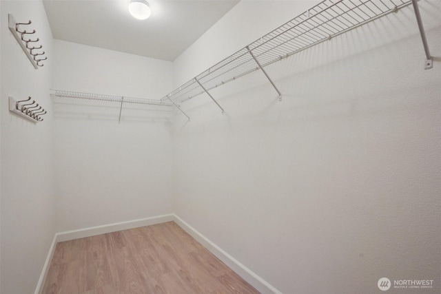 29664 127th Pl SE, Auburn, WA 98092 - spacious closet with light wood-style flooring