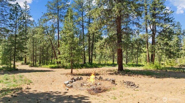 301 Quail Valley Rd, Cle Elum, WA 98922 - photo 25