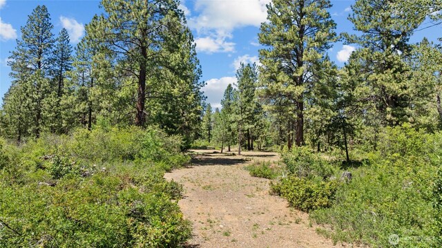 301 Quail Valley Rd, Cle Elum, WA 98922 - photo 29