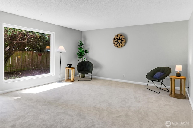 12427 NE 141st Way, Kirkland, WA 98034 - unfurnished room with carpet floors and a textured ceiling