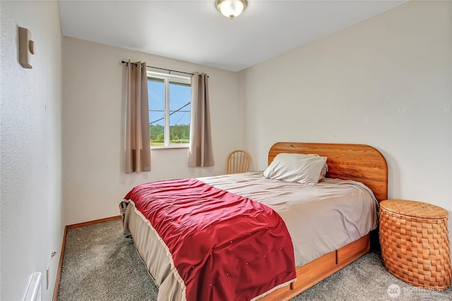 221 S Prairie Carbon River Rd E, South Prairie, WA 98385 - carpeted bedroom featuring baseboards