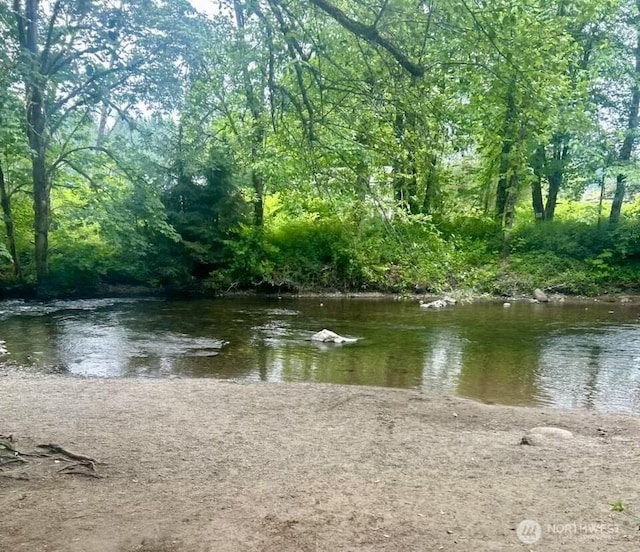 221 S Prairie Carbon River Rd E, South Prairie, WA 98385 - water view with a forest