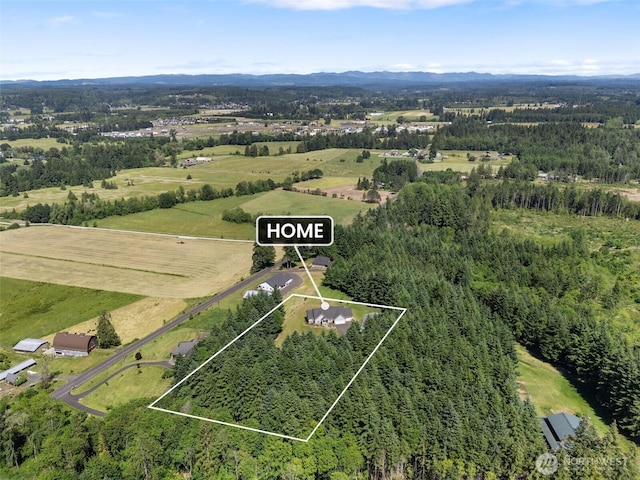 42811 Newaukum Valley Rd, Chehalis, WA 98532 - aerial view of property's location with property parcel outlined and mountains