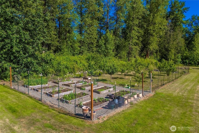 2502 218th St E, Spanaway, WA 98387 - view of green lawn with a vegetable garden
