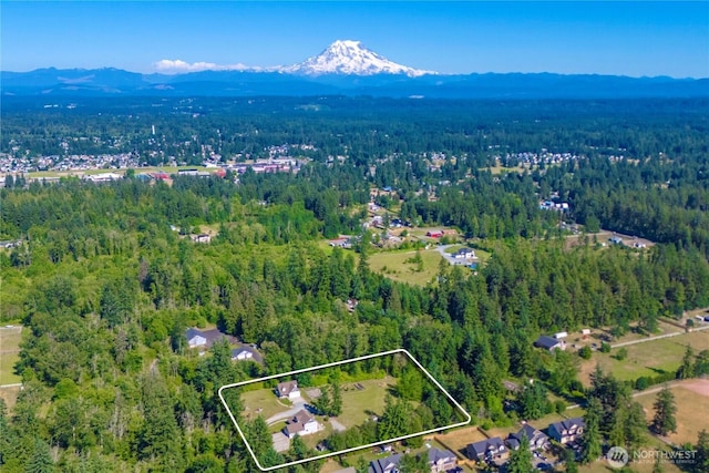 2502 218th St E, Spanaway, WA 98387 - view of property location with a mountain backdrop and property parcel outlined