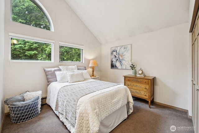 45908 SE Edgewick Rd, North Bend, WA 98045 - bedroom featuring carpet floors, high vaulted ceiling, and a baseboard radiator
