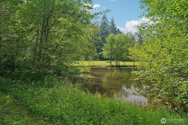 45908 SE Edgewick Rd, North Bend, WA 98045 - water view