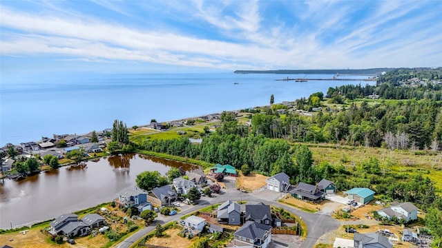 4123 Stuart Cir, Ferndale, WA 98248 - aerial view of residential area featuring a nearby body of water