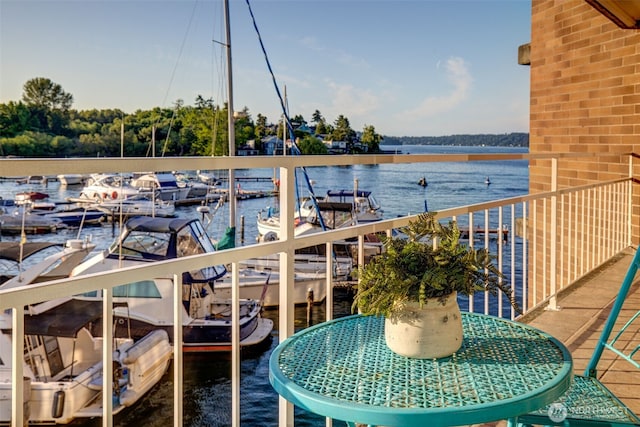 9500 Rainier Ave S Unit 303, Seattle, WA 98118 - balcony with a water view