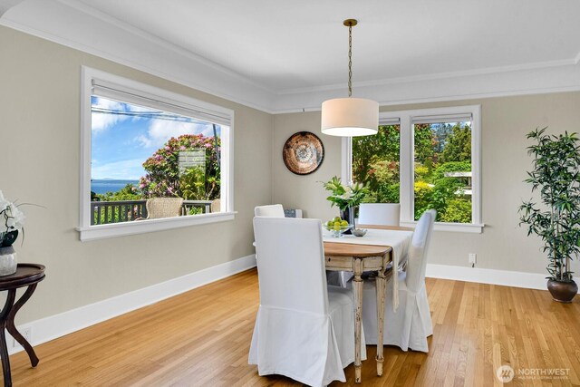 6828 35th Ave NW, Seattle, WA 98117 - photo 12