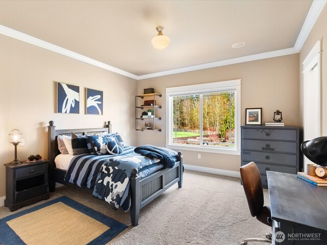 8815 164th St SE, Snohomish, WA 98296 - photo 27