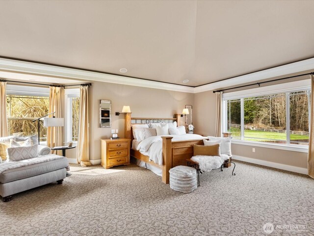 8815 164th St SE, Snohomish, WA 98296 - photo 21