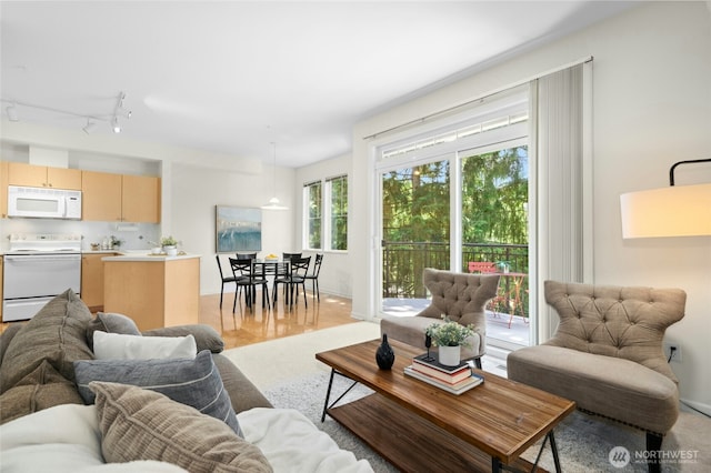2840 139th Ave SE Unit 9, Bellevue, WA 98005 - living room featuring baseboards and rail lighting