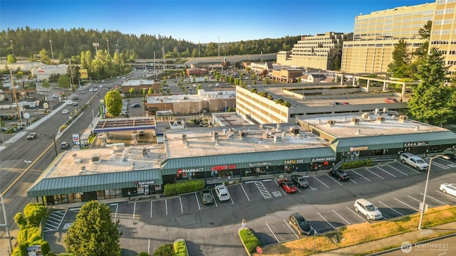 2840 139th Ave SE Unit 9, Bellevue, WA 98005 - aerial view of a commercial area