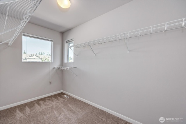 4236 SW Colbert Way, Port Orchard, WA 98367 - spacious closet with carpet flooring