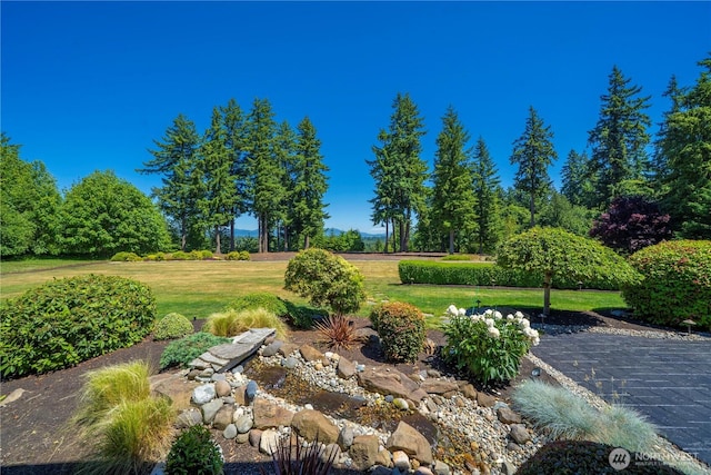 22013 26th St E, Lake Tapps, WA 98391 - photo 18