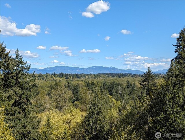 22013 26th St E, Lake Tapps, WA 98391 - photo 38