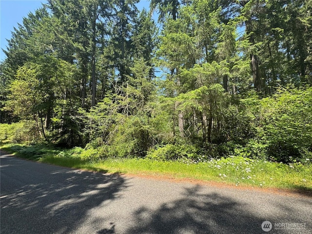 11409 Hillcrest Dr, Anderson Island, WA 98303