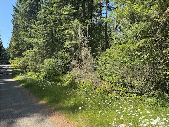11409 Hillcrest Dr, Anderson Island, WA 98303