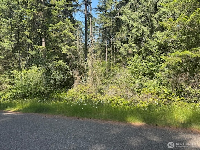 11409 Hillcrest Dr, Anderson Island, WA 98303
