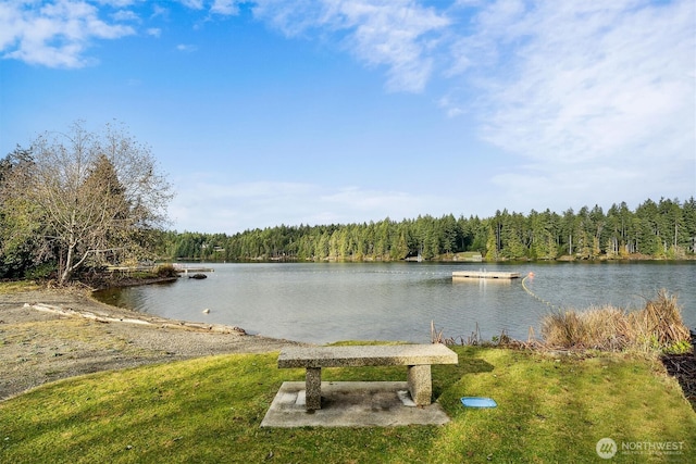 11409 Hillcrest Dr, Anderson Island, WA 98303