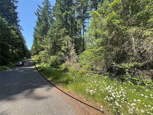 11409 Hillcrest Dr, Anderson Island, WA 98303