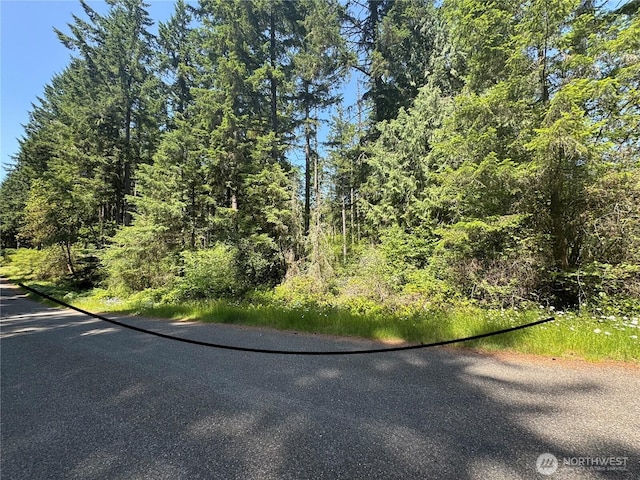 11409 Hillcrest Dr, Anderson Island, WA 98303