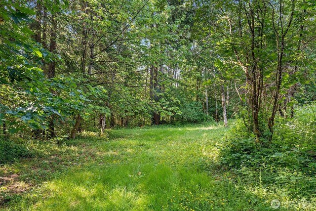 187 Dusty Ln, Chehalis, WA 98532 - view of yard with a forest view