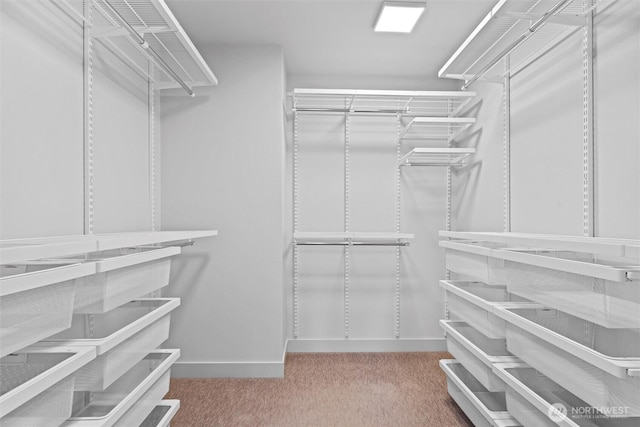 17905 35th Ave SE Unit C3, Bothell, WA 98012 - walk in closet with carpet floors
